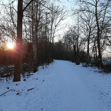 B&B Vakantiehuis aan het Bos Bant Buitenkant foto