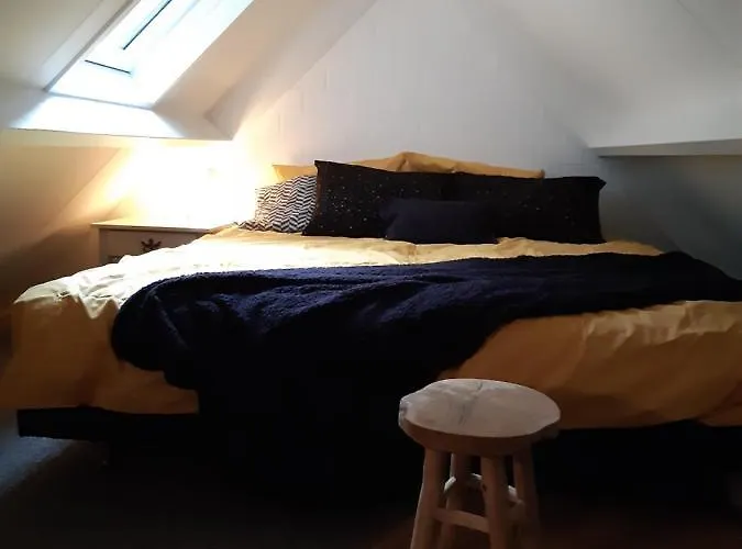 Vakantiehuis Aan Het Bos - Gelegen Aan De Tulpenroute