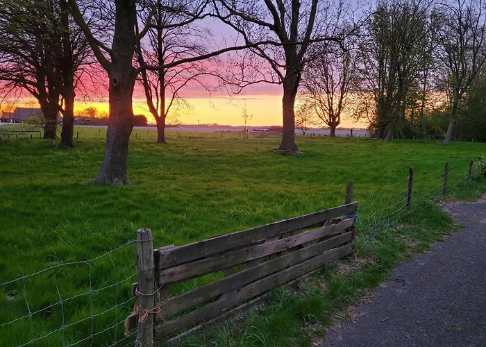 Vakantiehuis Aan Het Bos - Gelegen Aan De Tulpenroute