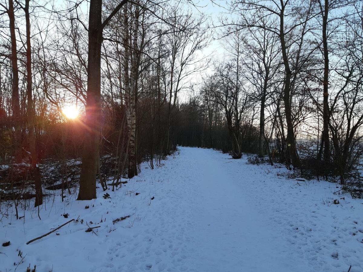 Aan Het Bos - Gelegen Aan De Tulpenroute Bant