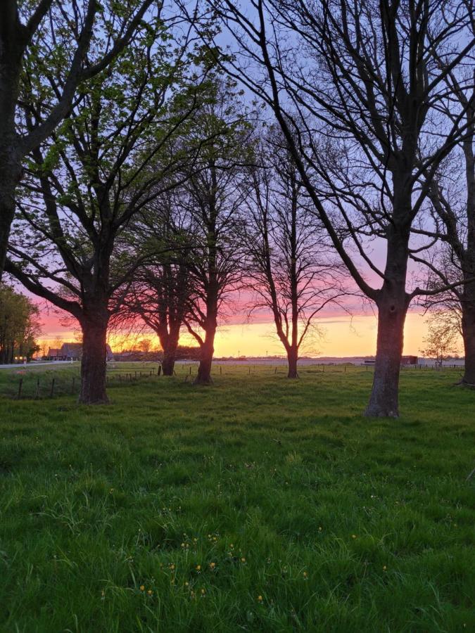 Aan Het Bos - Gelegen Aan De Tulpenroute Holiday home