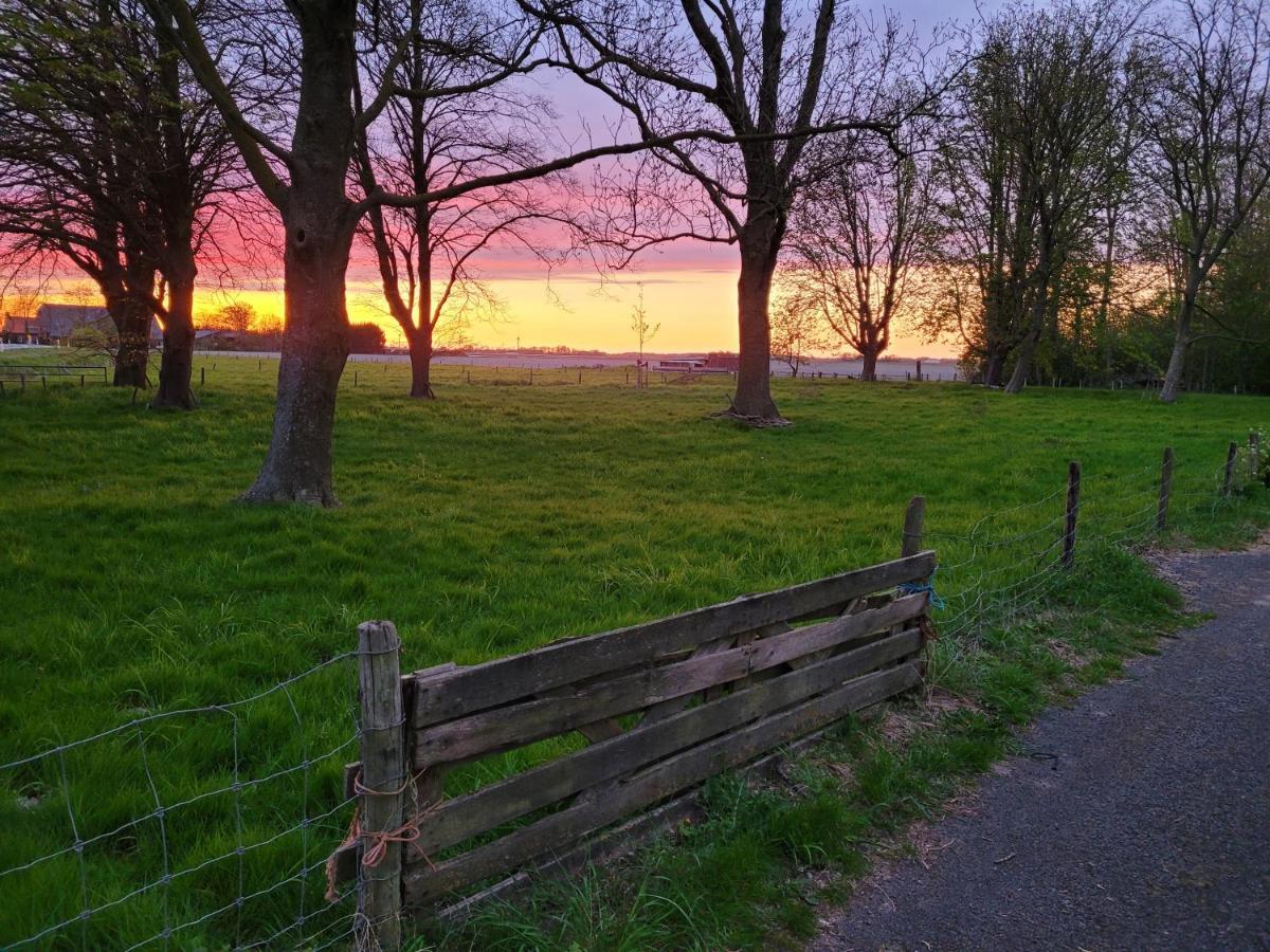 Aan Het Bos - Gelegen Aan De Tulpenroute Holiday home *