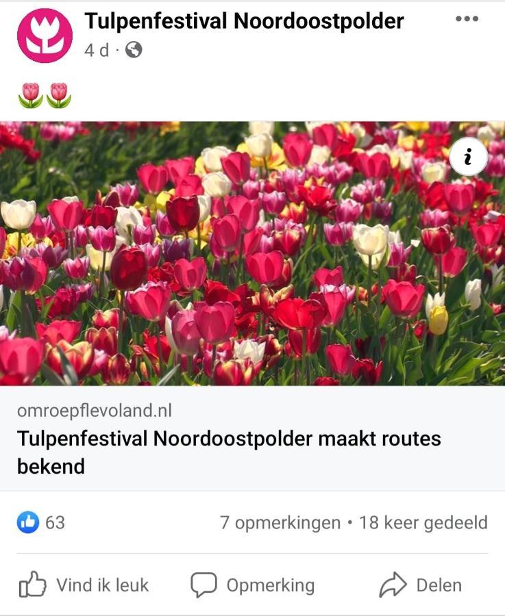 Aan Het Bos - Gelegen Aan De Tulpenroute Holiday home *